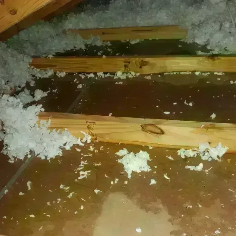 Attic Water Damage in McMurray, PA