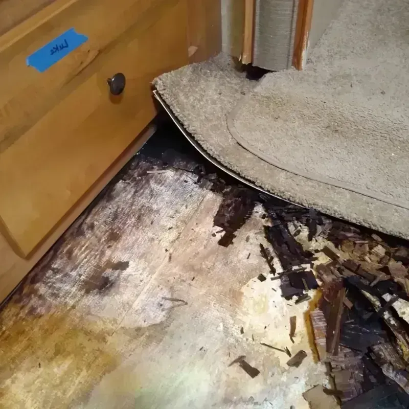 Wood Floor Water Damage in McMurray, PA